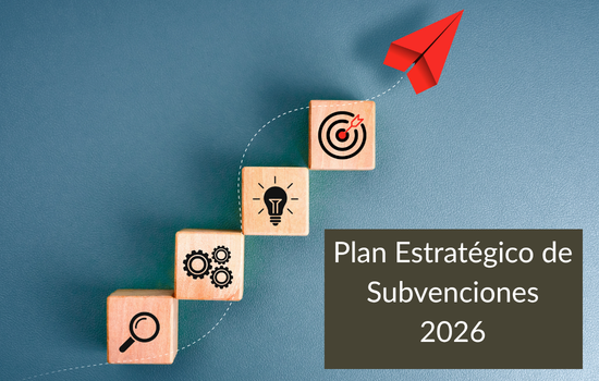 IMG Plan Estratégico de Subvenciones